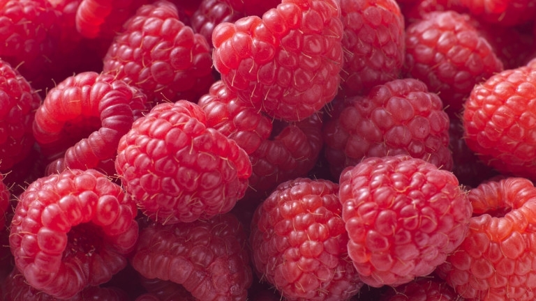 Цената на първите за сезона български малини изкачиха ценови връх