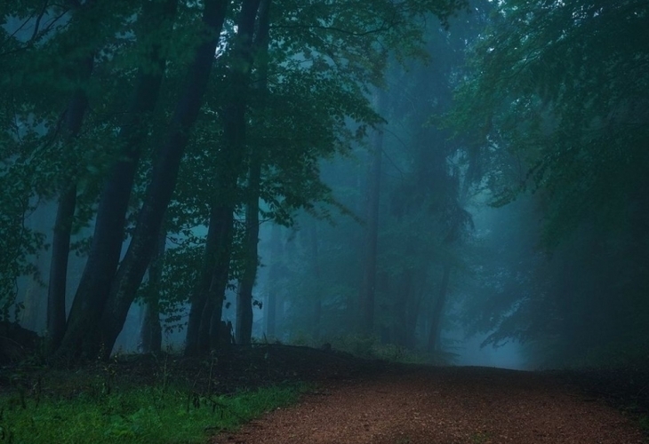 80 души издирваха двама ловци изгубили се в гората Акцията