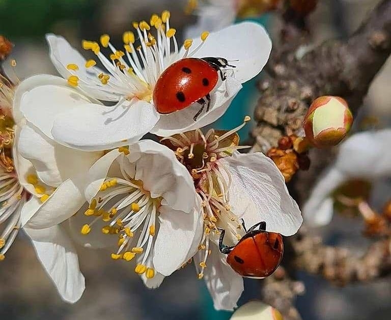 Днес над Западна България ще бъде слънчево Над източните райони от страната ще