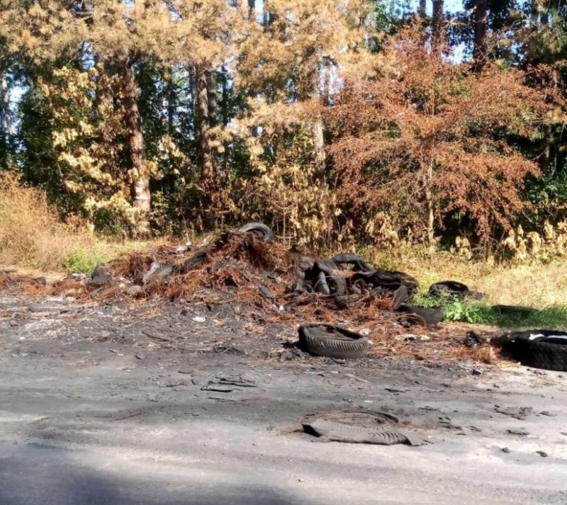 Изгорял камион вече месец се разпада насред шосе във Врачанско