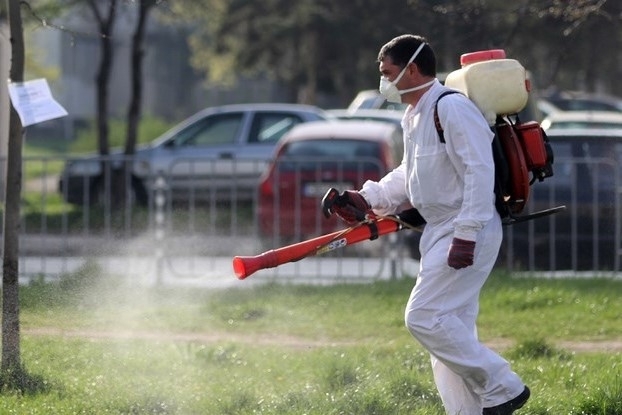 Днес започва пръскането срещу кърлежи и бълхи във Вършец съобщиха