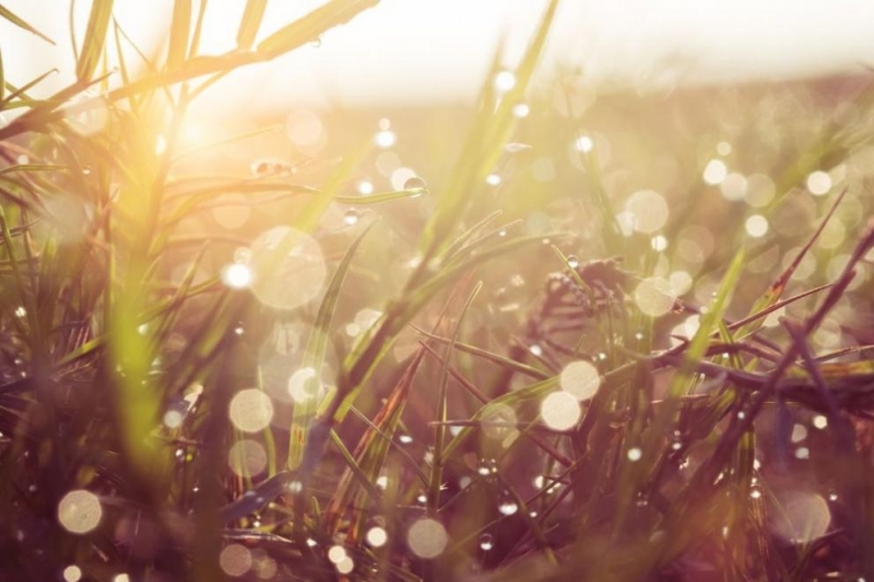 Сутринта на места в Източна България все още ще превалява