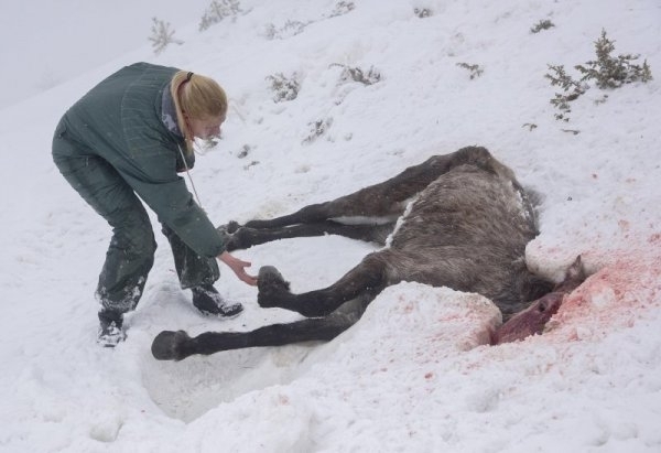 Прокуратурата разследва евентуална злоупотреба с евросредства на собственика на изоставените