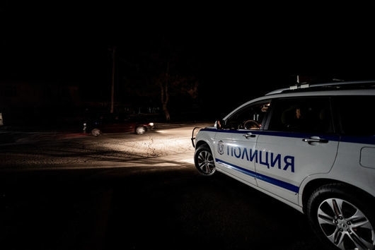 Полицаи откриха труп на сърна в кола в Монтанско