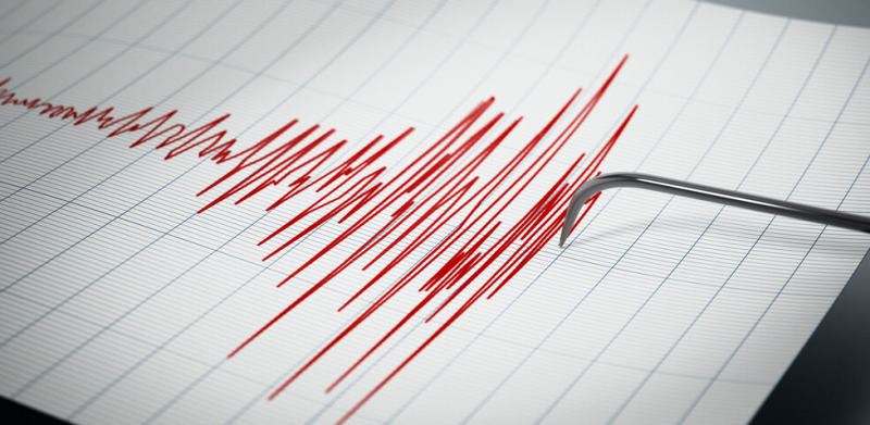 Земетресение с магнитуд 3 5 по Рихтер разтърси днес град Петриня