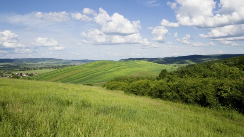 Община Мездра обявява провеждането на търг с явно наддаване за