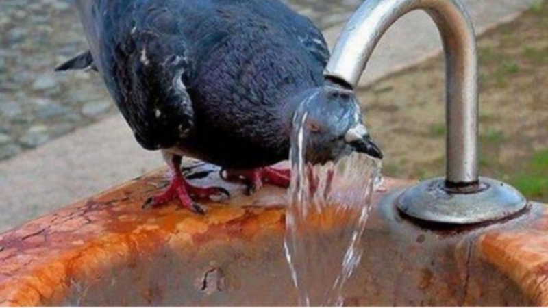 През нощта ще бъде предимно ясно В по голямата част от