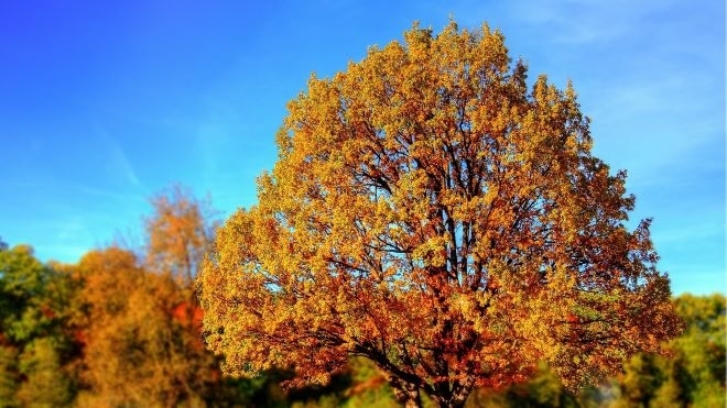 През деня времето ще е предимно слънчево но по късно след обяд