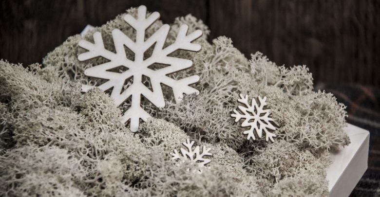 На 14 декември имен ден празнуват много българки със снежни