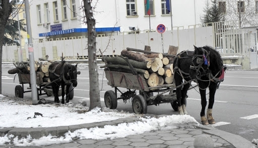Служители на реда са конфискували незаконни дърва за огрев във