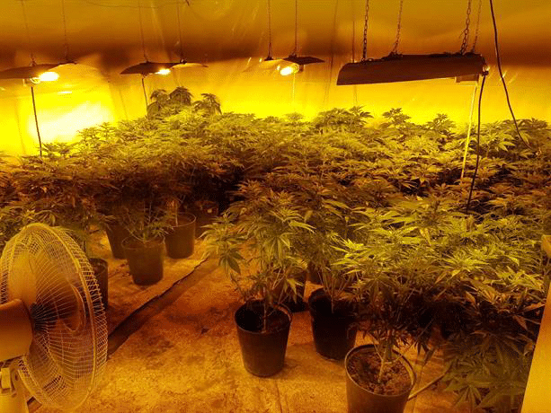 Криминално проявен мъж от Поморие е задържан за срок от