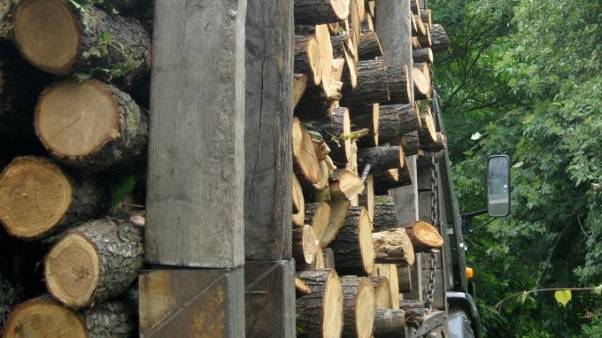 Близо 13 000 проверки са извършени през първото шестмесечие на