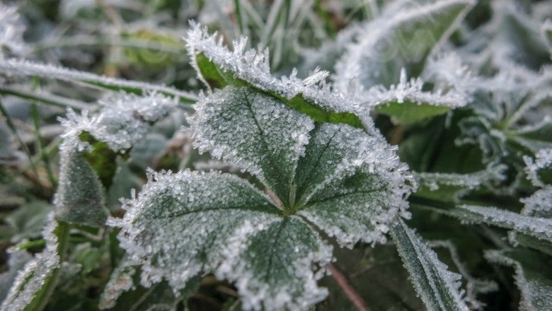През деня ще бъде предимно слънчево със слаб югозападен вятър