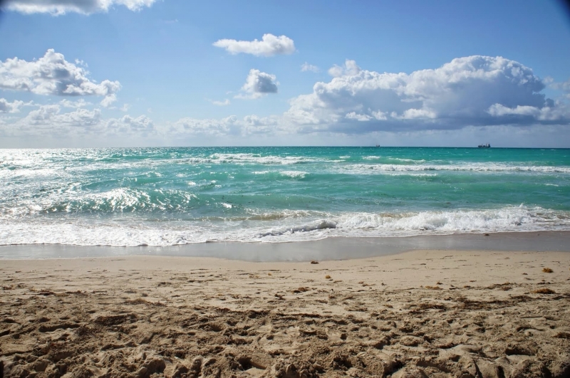 Времето днес ще е предимно слънчево След обяд и през