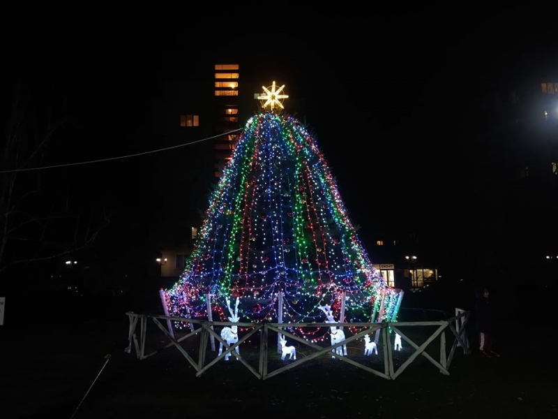 Община Монтана ще посрещне коледните празници с напълно обновена празнична