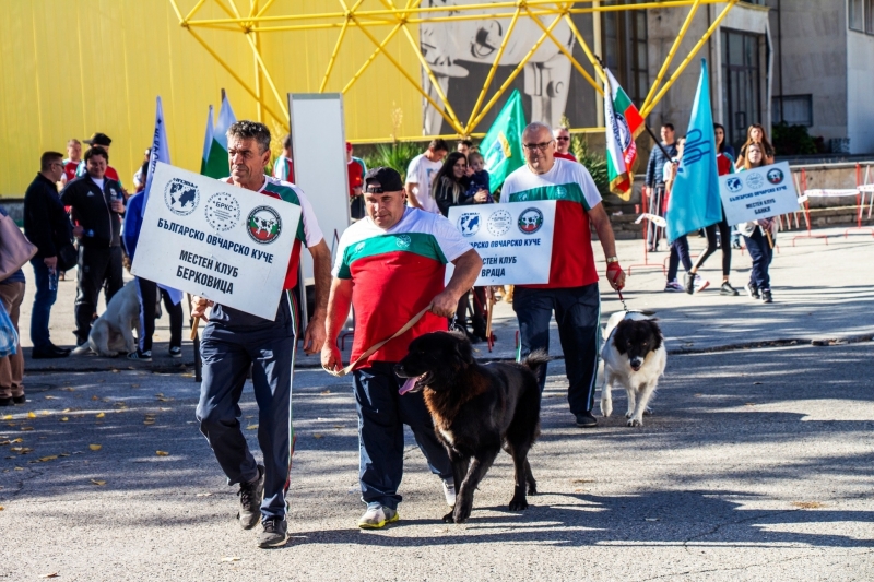 Клубът на Българско овчарско куче в Берковица закри сезона с киноложка