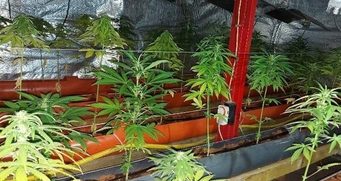 Под ръководството на Районна прокуратура Монтана се води разследване