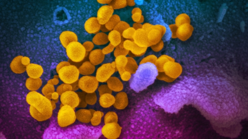 Западните сили обявиха че в състояние на война с коронавируса