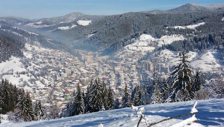 Над 30 доброволци се включиха в издирването на 77 годишна жена