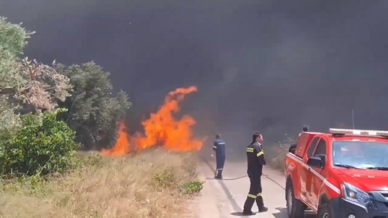 Четвърти ден България се бори с пожарите Горяг хиляди декари