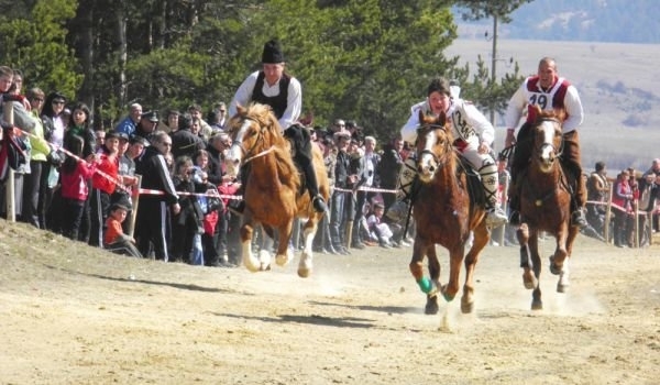 Конни състезания ще се проведат в брусарското село Крива бара