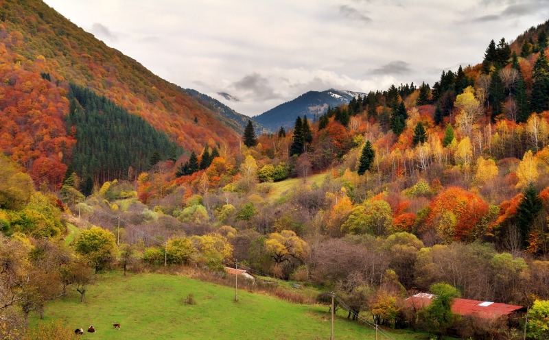 Времето остава слънчево и утре, после идва захлаждане