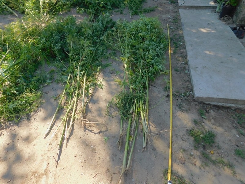 Днешната специализираната операция насочена срещу конвенционалната престъпност във Видиснко стартира