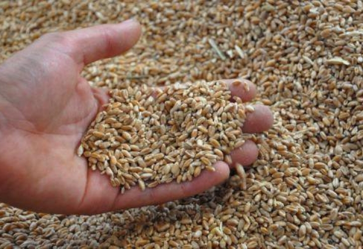 Торговля зерном. Недостаток зерна 2022. Торговля зерном. Зерно деньги. Пшеница и деньги.