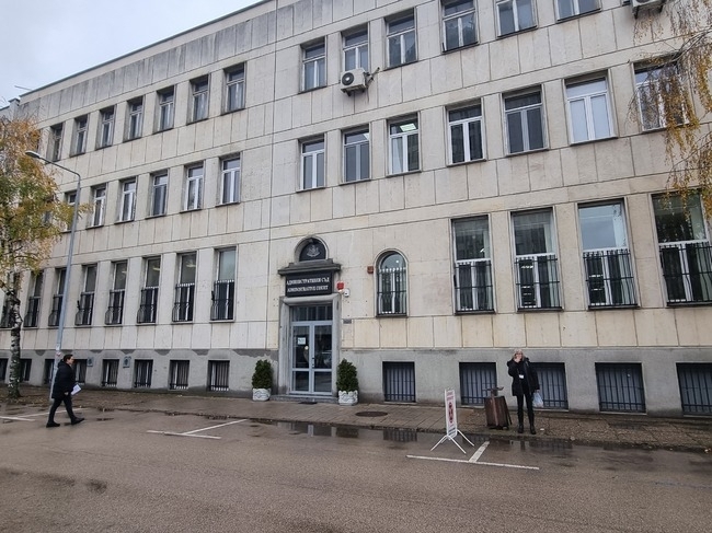 Лозина Николова обжалва прекратяването на пълномощията ѝ като общински съветник във Видин