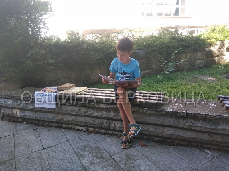 Традиционната лятна читалня организирана от библиотека Йордан Радичков Берковица се