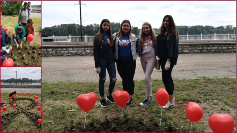 Цветна леха във формата на панделка беше засадена във Видин