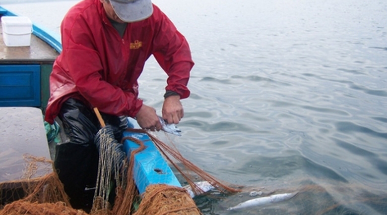 Рибарите на родното ни Черноморие са притеснени от слабия си