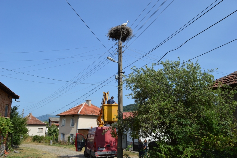 В село Спанчевци спасиха щъркел в беда съобщиха от Община Вършец На
