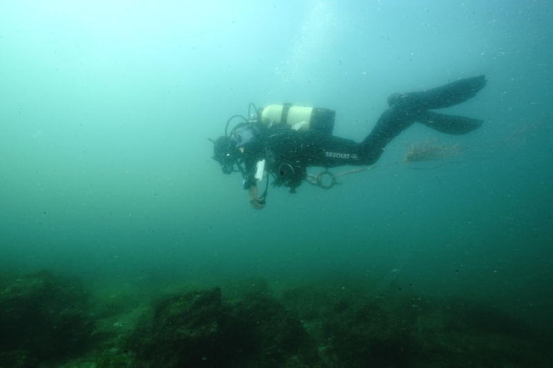 Бълбукащи рифове са открити за пръв път в Черно море край Зеленка