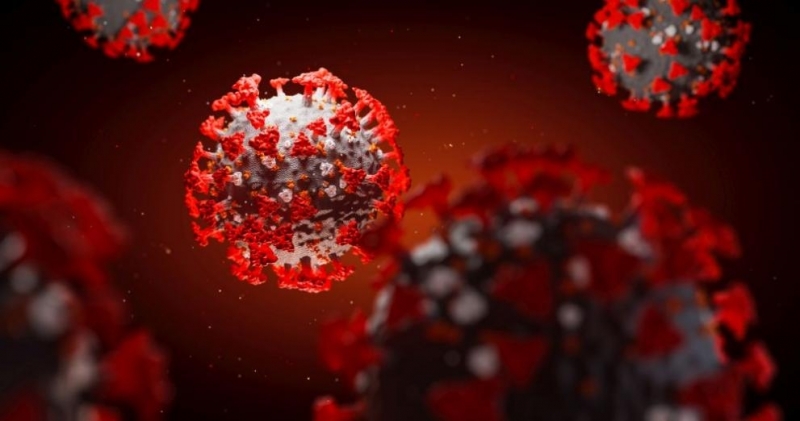 Антителата в кръвта на заразилите се с новия коронавирус могат