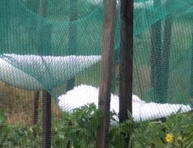 Градушка колкото орех удари карловското село Московец в ранния следобед