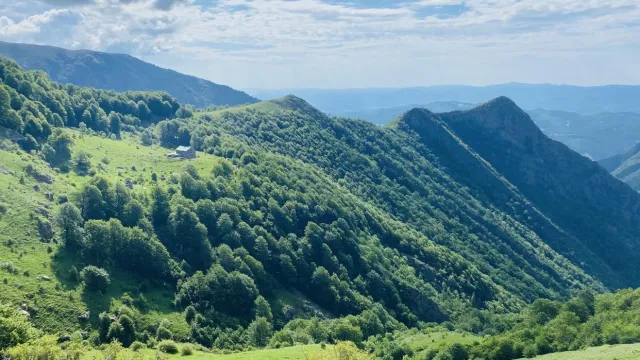 Акция по издирването на мъж и жена се провежда в