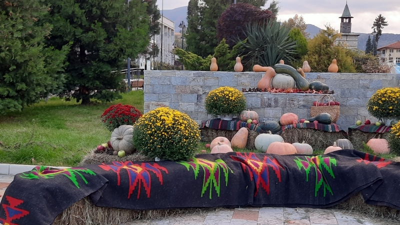 Община Берковица подготви цветен кът за снимки който да създава