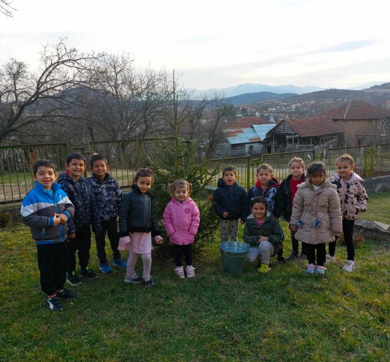 Малчугани от Берковско засадиха коледното си дръвче съобщиха от местната
