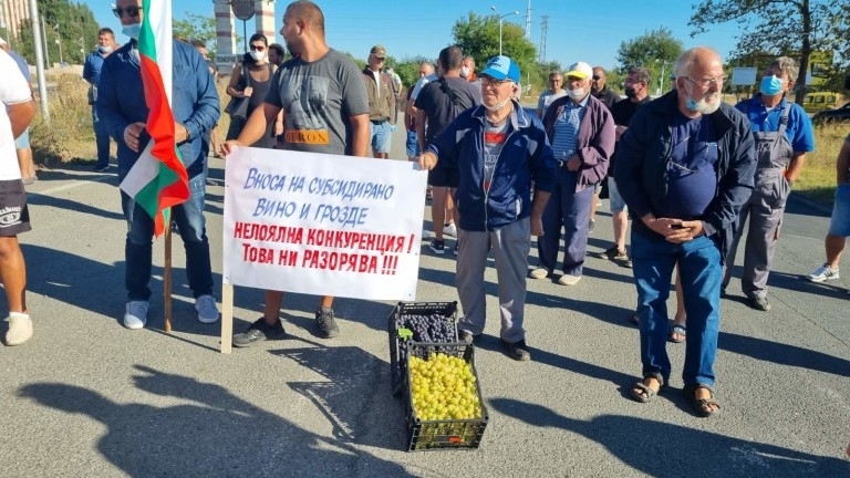 Лозари от Монтана Лом Видин и Враца излизат на протест
