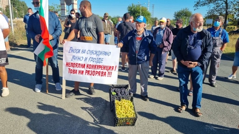 Недоволни лозари от Северозапада излизат на протест, блокират изхода на ...