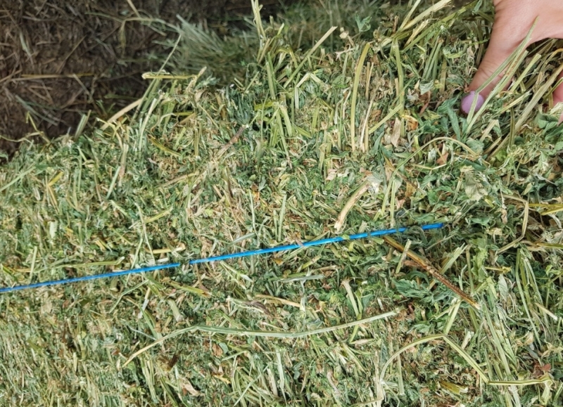 Апаш открадна люцерна и тръби във Врачанско, съобщиха от полицията.