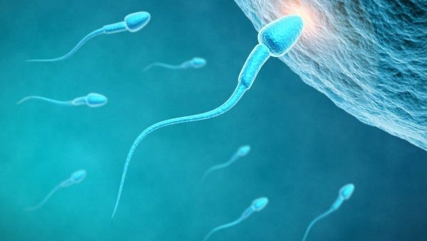 Всички сме чували слухове за спермата свързани с ананас вани