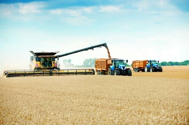 По ниски добиви отчитат през тази година земеделските производители от Видинско