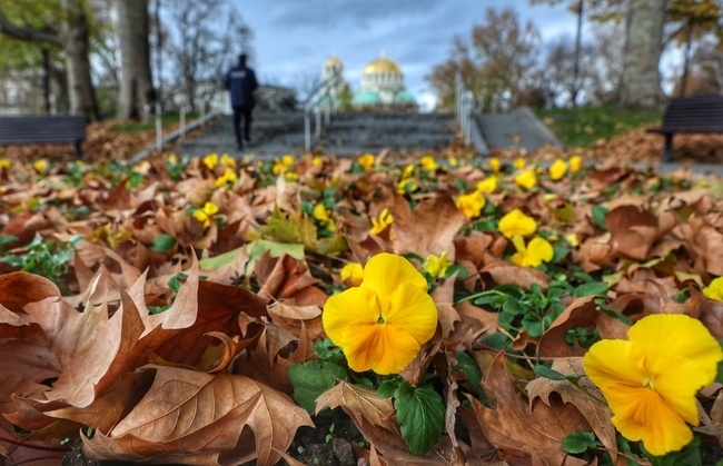 Днес ще преобладава слънчево време с по значителна облачност преди обяд