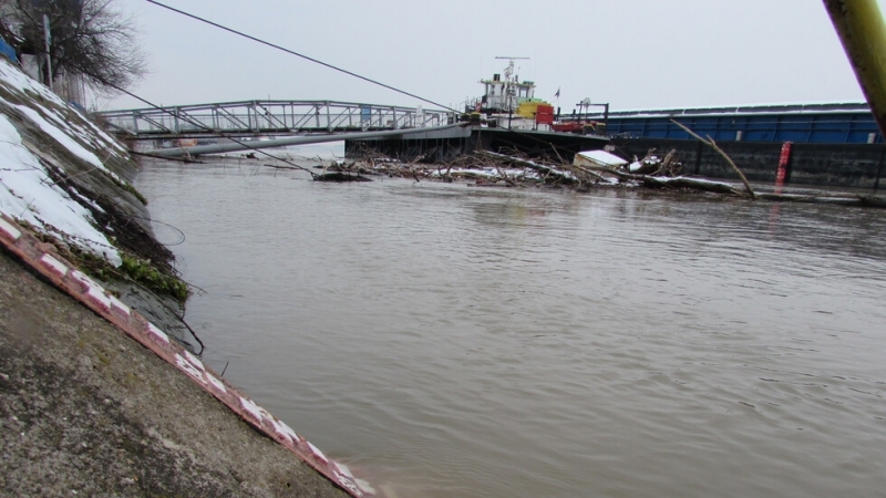 Над 20 кораба са блокирани край Свищов заради драстично понижаване