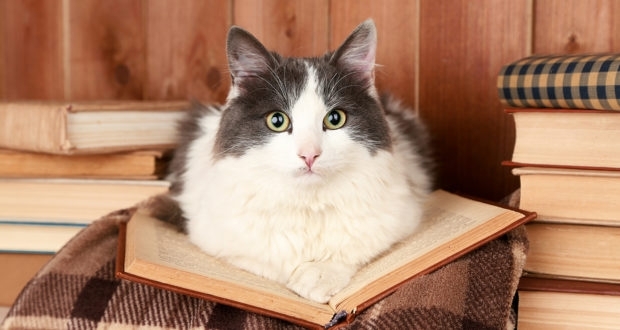 Париж е известен не само като дома на Айфеловата кула