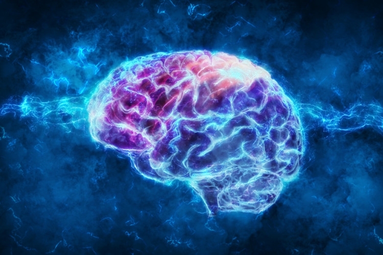 От голямо значение за възстановяването след инцулт е къде е поражението