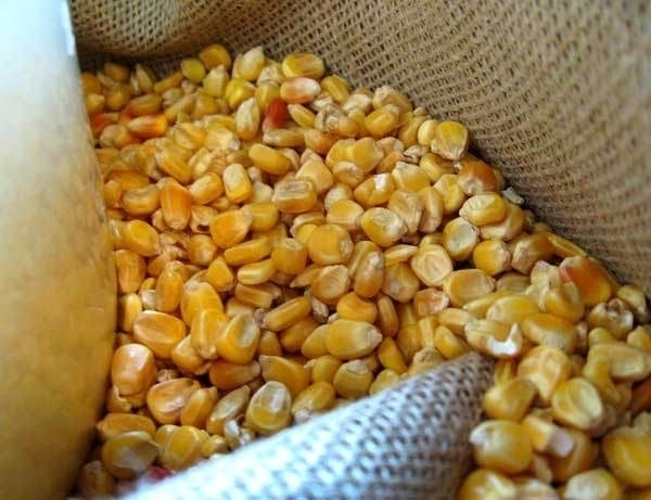 Полицаи заловиха крадец задигнал царевица от земеделски блок в Козлодуй