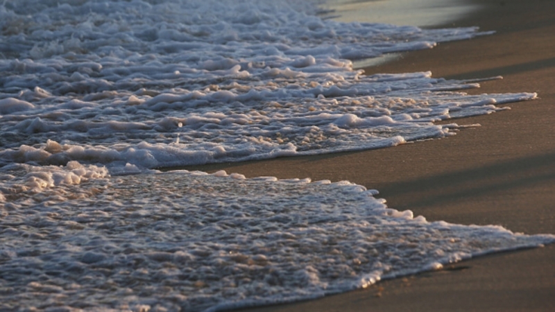 Институтът по морска биология в Котор съобщи че средната температура